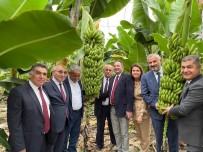 Bafra Sera OSB Antalya'da Tanitildi