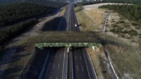 Ulaştırma ve Altyapı Bakanı Karaismailoğlu: Ulaşımda 2020 yılında 13.4 milyar dolar tasarruf