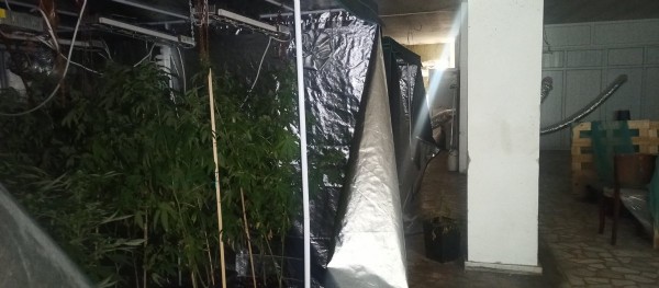 İstanbul’da baba ve oğlunun kurduğu milyonluk uyuşturucu serası