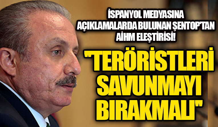 Mustafa Şentop'tan AİHM eleştirisi: Teröristleri savunmayı bırakmalı