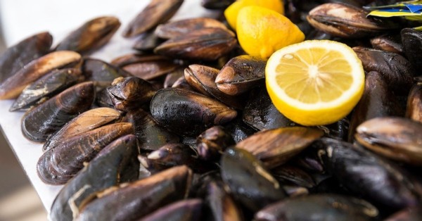Midye Zararlı Mı? Midye Kaç Kalori