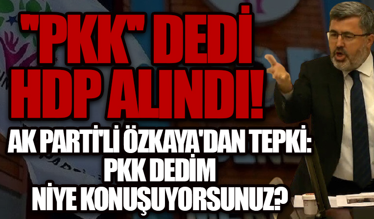 AK Parti'li Özkaya PKK'ya tepki gösterirken HDP üzerine alındı