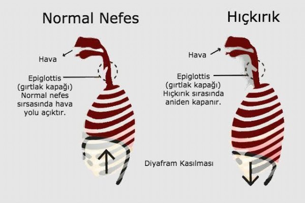 sexy stripyease çizgi porn hikaye