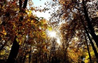 Dogu Anadolu'da Sicakliklar 4 Ila 6 Derece Artti