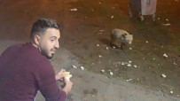 Karsli Gençler Adini Sükür Koyduklari Tilkiyi Elleriyle Besliyor