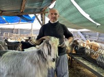 Küçükbas Hayvan Fiyatlari Düsüste