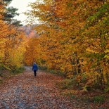 Küçükelmali Tabiat Parki'nda Sonbahar Güzelligi Mest Etti