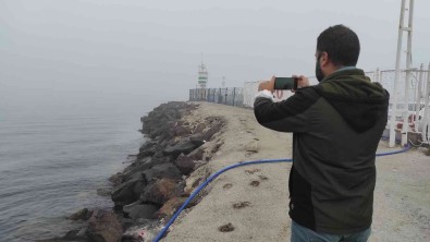 Sis Nedeniyle Çanakkale Bogazi Gemi Trafigine Kapandi