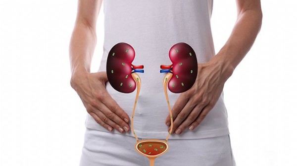 İdrar Yolu Enfeksiyonu Neden Olur? İdrar Yolu Enfeksiyonu Nasıl Geçer?