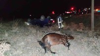Basibos Ata Çarpan Otomobil Takla Atti Açiklamasi 1 Ölü, 6 Yarali