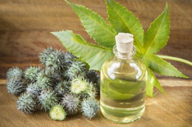 Hint Yağı Faydaları Nelerdir? Hint Yağı Nasıl Kullanılır?