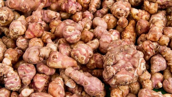 Yer Elması Faydaları Nelerdir? Yer Elması Neye İyi Gelir?