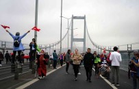 Kitalar Arasinda Renkli Görüntüler