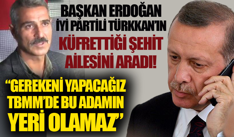 Başkan Erdoğan, İYİ Partili Lütfü Türkkan'ın küfür ettiği şehit yakınının kardeşi ile görüştü