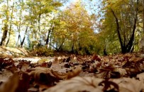 Dogu Anadolu'da Mevsim Normallerine Göre Sicaklik Artarken Çarsamba Kar Geliyor