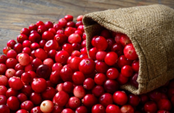 Kızılcık Faydaları Nelerdir? Kızılcık Nasıl Kurutulur?