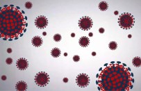 Fransa'da Son 24 Saatte 49 Bin 610 Yeni Korona Virüs Vakasi