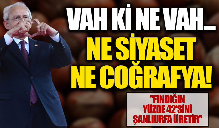 Kemal Kılıçdaroğlu fındık üretimi olmayan Şanlıurfa'da konuştu: Türkiye'deki fındığın yüzde 42'sini Şanlıurfa üretir