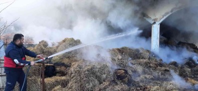 Türkeli'de Ev Yangini