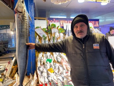 2 Bin Liraya Satilan 1 Buçuk Metrelik Kiliç Baligi Ilgi Çekiyor