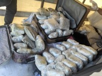 65 Kilo Esrar Çikan Tirdaki Iki Süpheli Serbest Birakildi