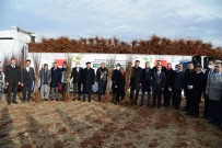 Egil'de Çiftçilere 180 Bin Badem, Fistik Ve Ceviz Fidani Dagitildi