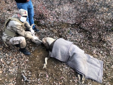 Jandarma Ekipleri, Yarali Dag Keçisi Için Seferber Oldu