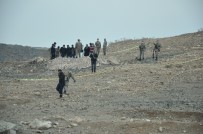 Köpeklerin Kazdigi Çukurdan Ceset Çikti