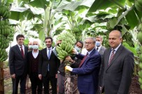 Muzda 6 Çesit Tescillenecek