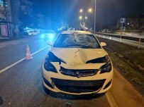 Ordu'da Otomobilin Çarptigi Yaya Hayatini Kaybetti