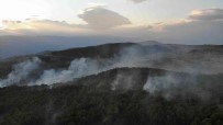 Tokat'ta Orman Yangini Kontrol Altina Alindi