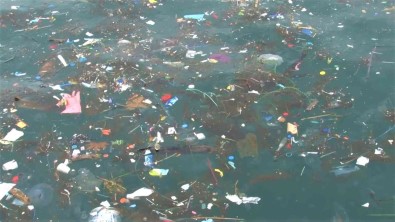 Üsküdar Sahili'nde Kiyiya Çöpler Vurdu