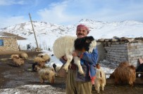 4 Yildir Yaylada Tek Basina Eksi 30 Derecede Yasiyor