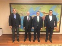 Ayvalik'ta Dogalgaz Için Geri Sayim Basladi