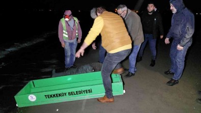 Balik Tutarken Ayagina Balik Agi Dolanan Yasli Adam Hayatini Kaybetti