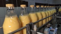 Boza Içerek Büyüyen Ailede Boyu 1.90'In Altinda Kimse Yok