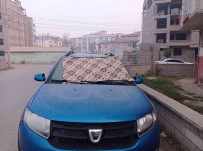 Igdir'da Soguk Hava Ve Sis Etkili Oluyor