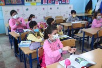 Ilkokul Ögrencileri 'Çevre Baskani' Oldu