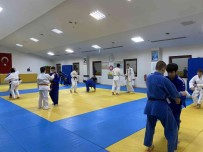 Osmangazili Judocular Madalya Pesinde