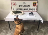 Rize'de Uyusturucu Operasyonu Açiklamasi 2 Gözalti