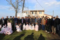 Samsun'da Israil Sazani Ile Mücadele Basladi