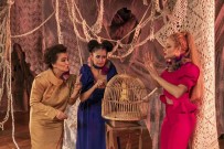 Sehir Tiyatrosunun 'Kozalar' Oyunu Büyük Begeni Topladi