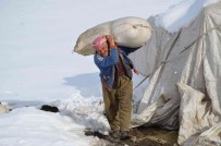 Sirnak'ta 4 Yildir Yaylada Tek Basina Eksi 30 Derecede Yasiyor