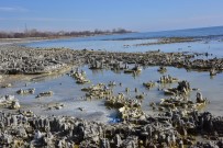Van Gölü'nün Çekilmesiyle Yeni Mikrobiyalitler Gün Yüzüne Çikti