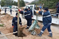 Yunusemre'de Agaçlandirma Seferberligi Devam Ediyor