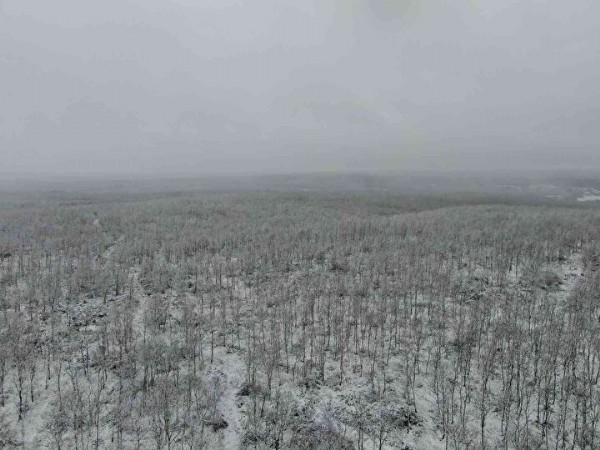 İstanbul'un ilçesinde kar kalınlığı 7 santimi buldu