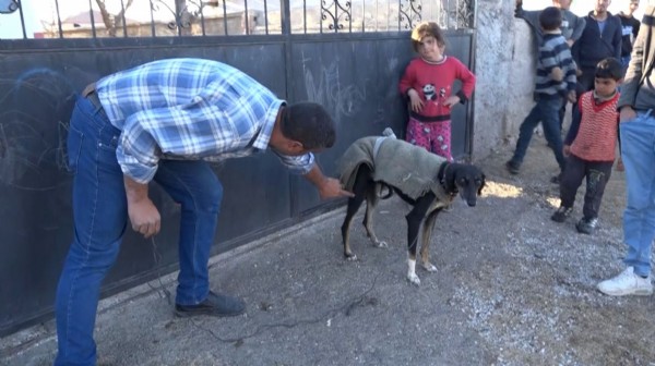 Aksaray'da köpek yumurtaları yedi, tüfek, taş ve sopalar konuştu