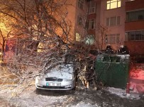 Aksaray'da Etkili Olan Kar Yagisi Agaçlari Devirdi