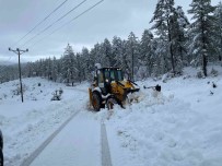 Büyüksehir'in Karla Mücadelesi Basladi