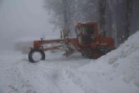Kocayayla Geçidi'nde Ulasima Kar Engeli